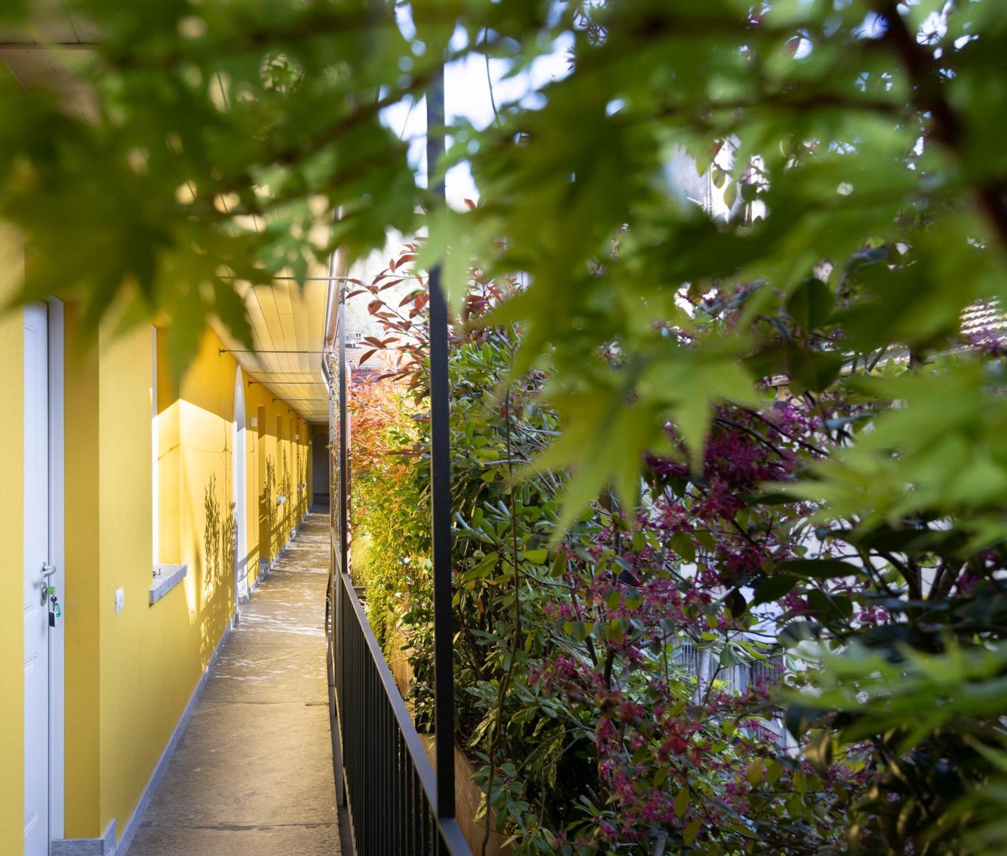 Residence Casa Coppa Appartamento Ivy Omegna Exterior foto