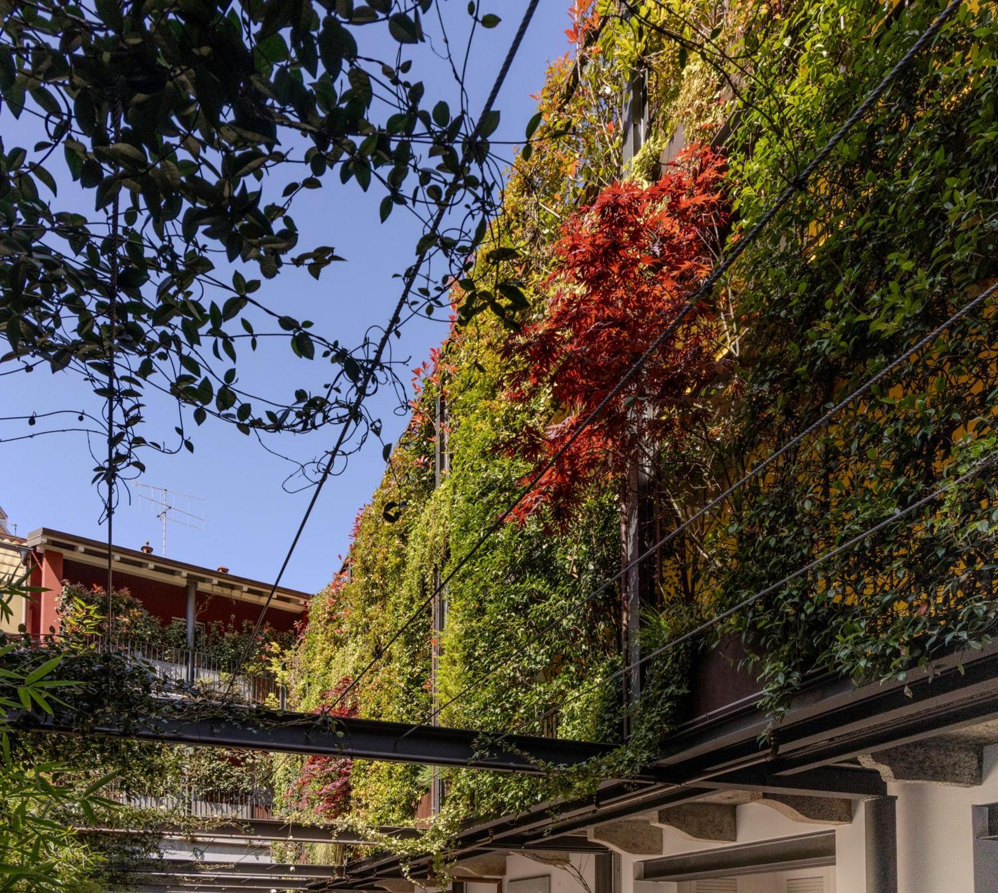 Residence Casa Coppa Appartamento Ivy Omegna Exterior foto